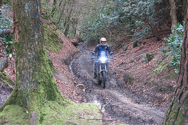 Learning off-road skills from experts in beautiful, rural Dorset